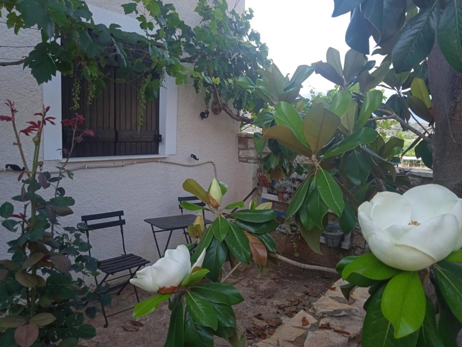 Pontinos Villa Míloi Exteriör bild